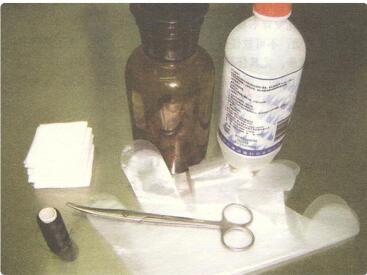 母狗生孩子前要准备哪些东西,母狗生小狗前准备