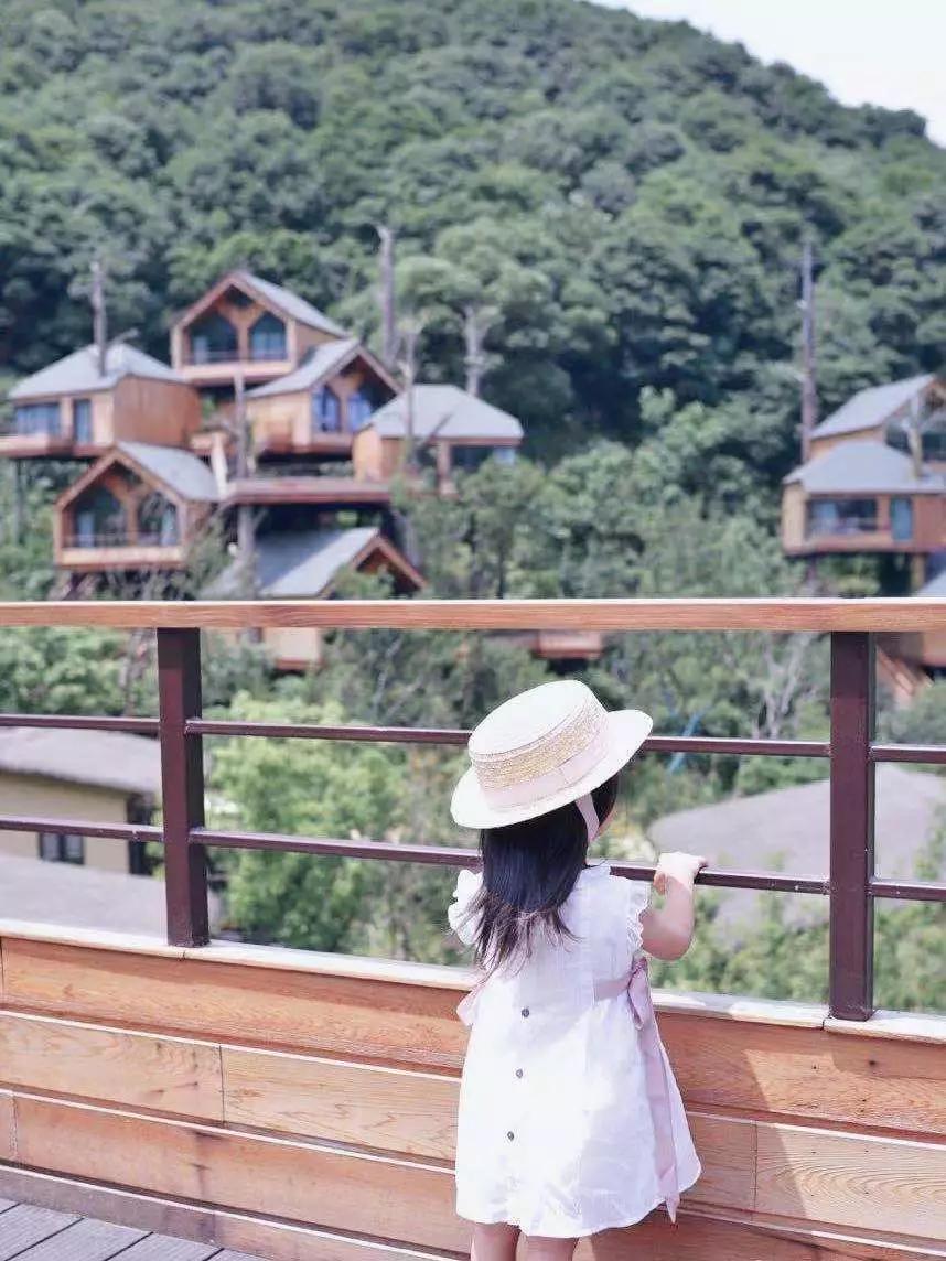 浪漫树屋、奇妙酒店、恒温水乐园...去江浙沪Top酒店跨个30℃的年