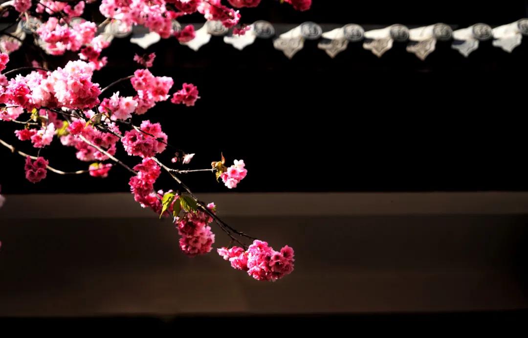 崇州罨画池在哪个位置,崇州罨画池值不值得去