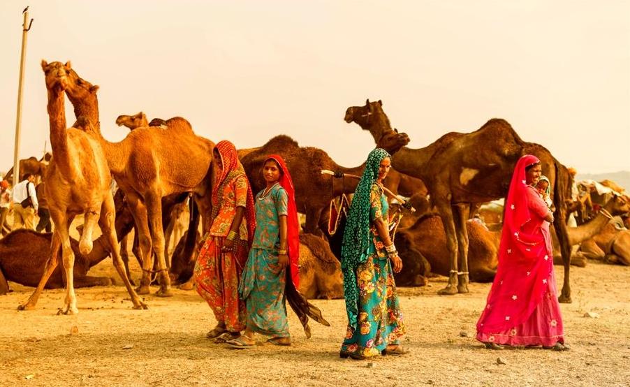 秋天适合去哪儿旅游,选择秋天去小兴安岭旅游的理由