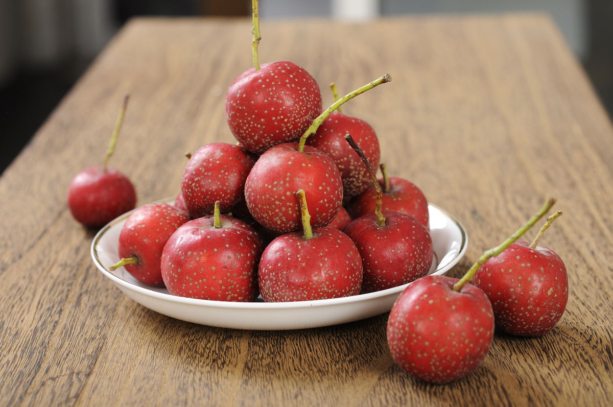 肠鸣闹肚子恶心,肠鸣频繁是什么原因引起的