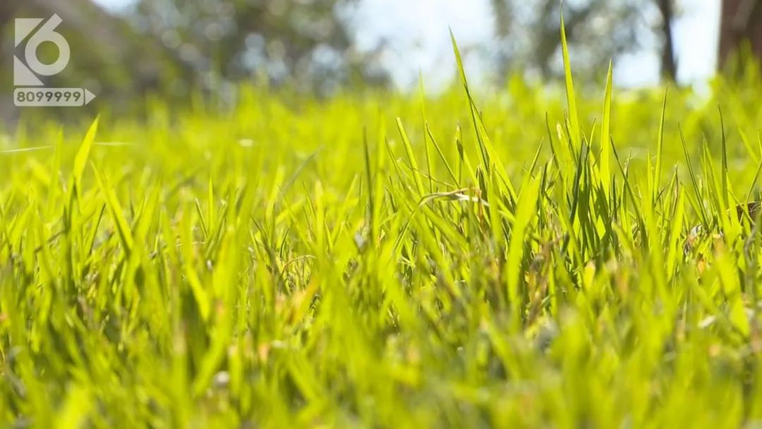北方人在南方卖雪,北方人卖冰