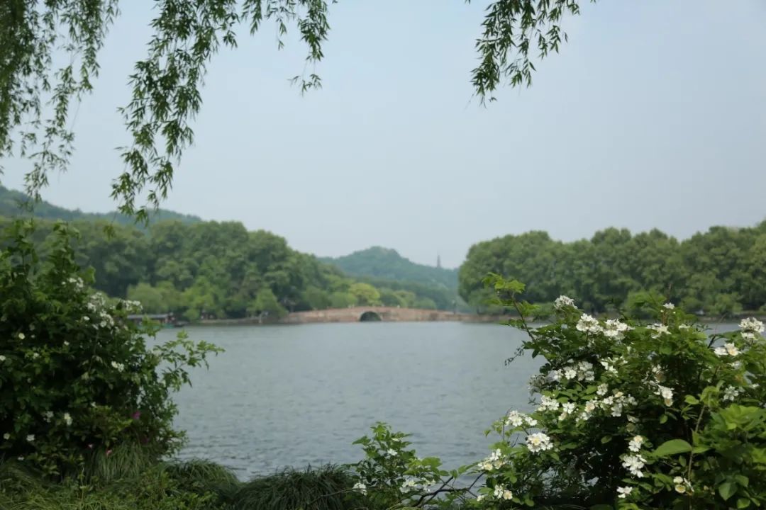 欣赏西湖的全景太美了,西湖美景实在美怎么也看不够