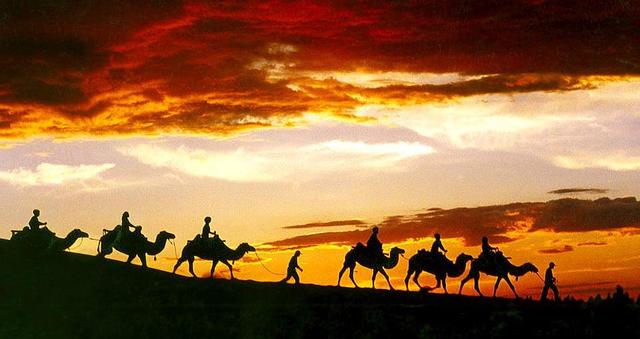 宁夏自治区中卫市沙坡头区什么样,宁夏银川沙坡头区