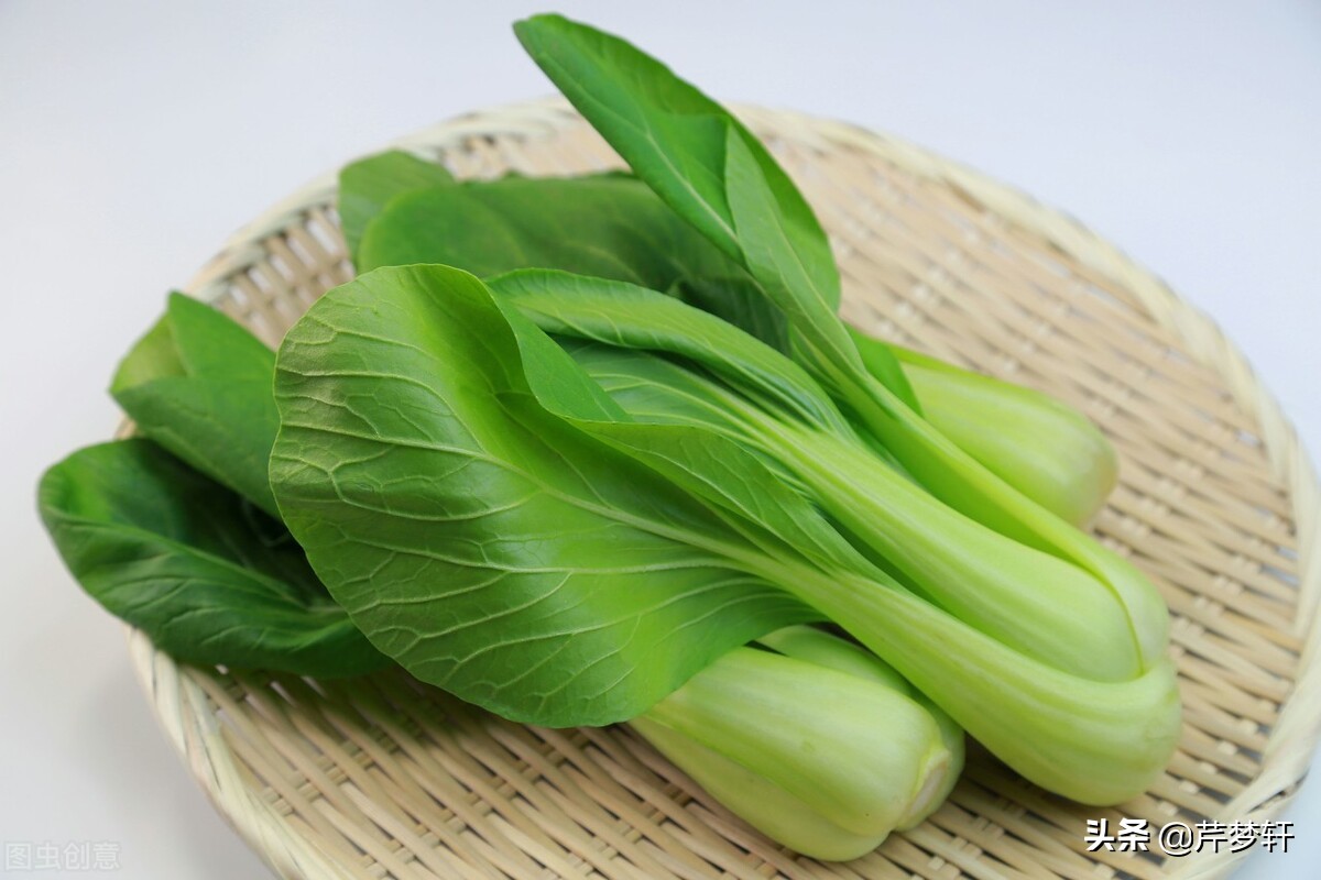 红楼梦诗社完整版,红楼诗社