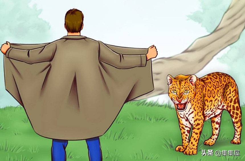 在野外遇到野生动物如何保护自己,在野外遇到凶猛的动物该怎么办呢