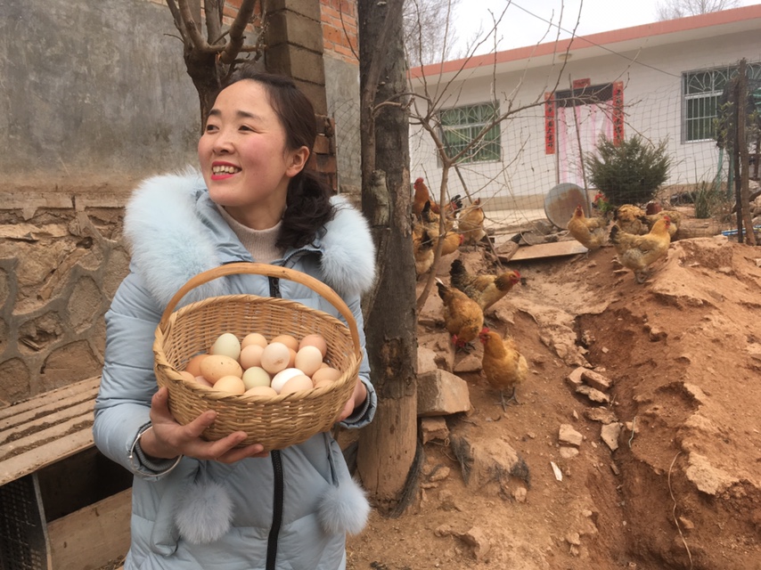 大蒜卖到马尔代夫人大代表梁倩娟的“农货出国记”