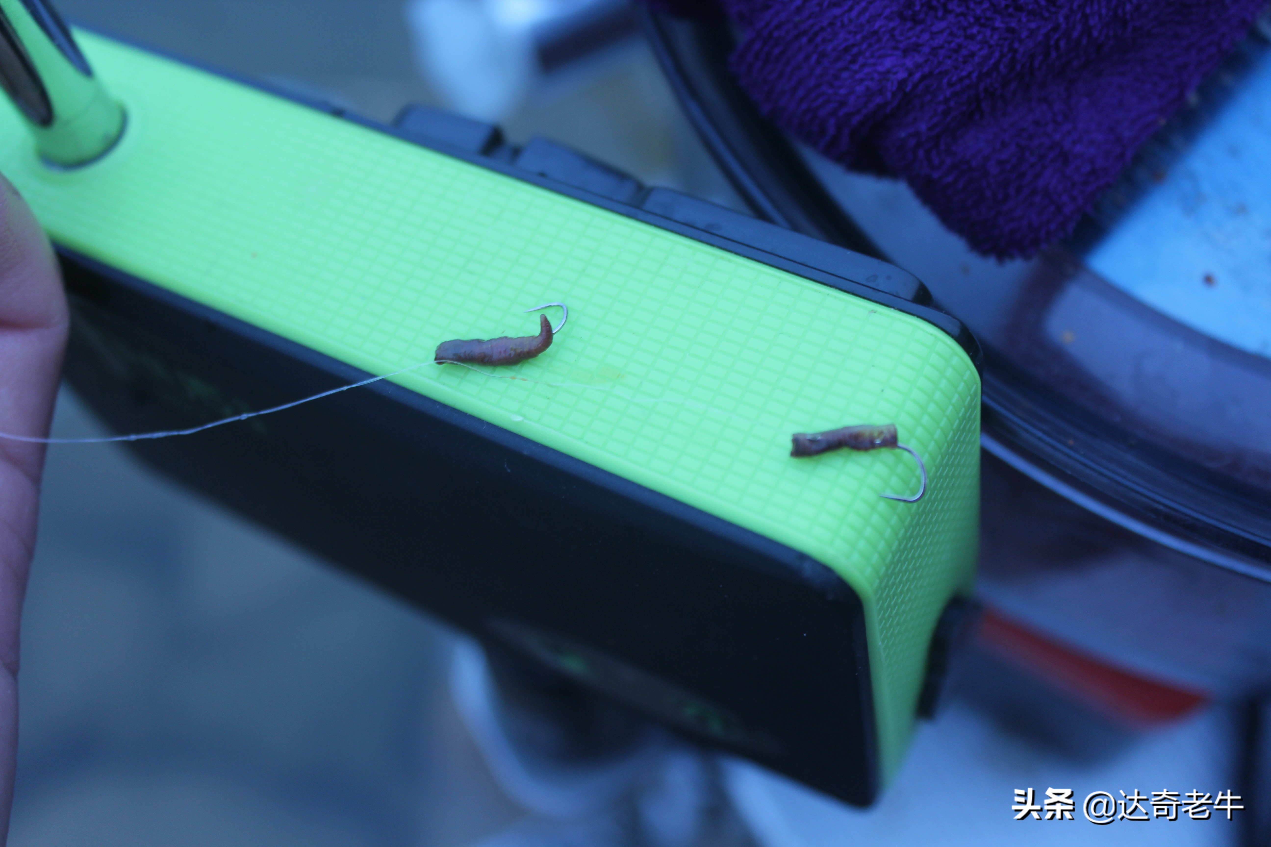 无倒刺的鱼钩怎么挂蚯蚓最好,不怕跑鱼的鱼钩