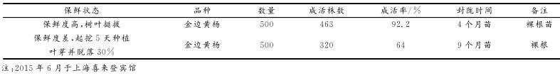 春天移栽红花檵木花太多不长芽,红花檵木移栽多久说明成活了