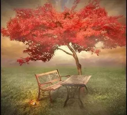 油锯切割几分钟就熄火,油锯切割木料切不整齐