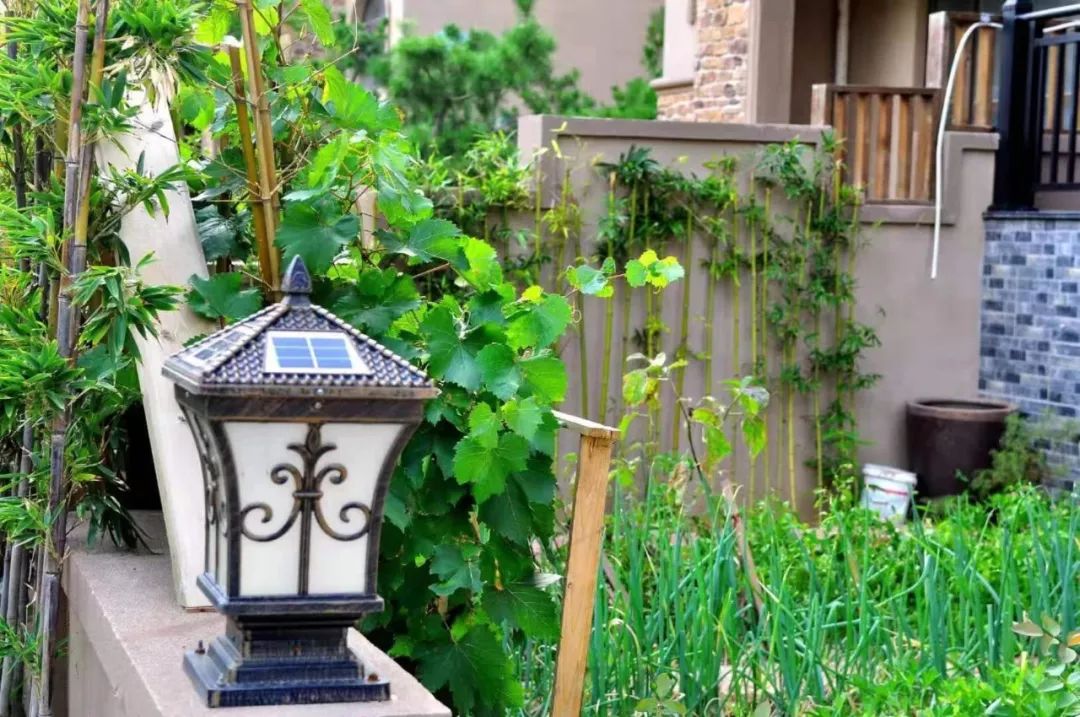 让心灵去旅行——海之梦国学养生营第二期回顾实录