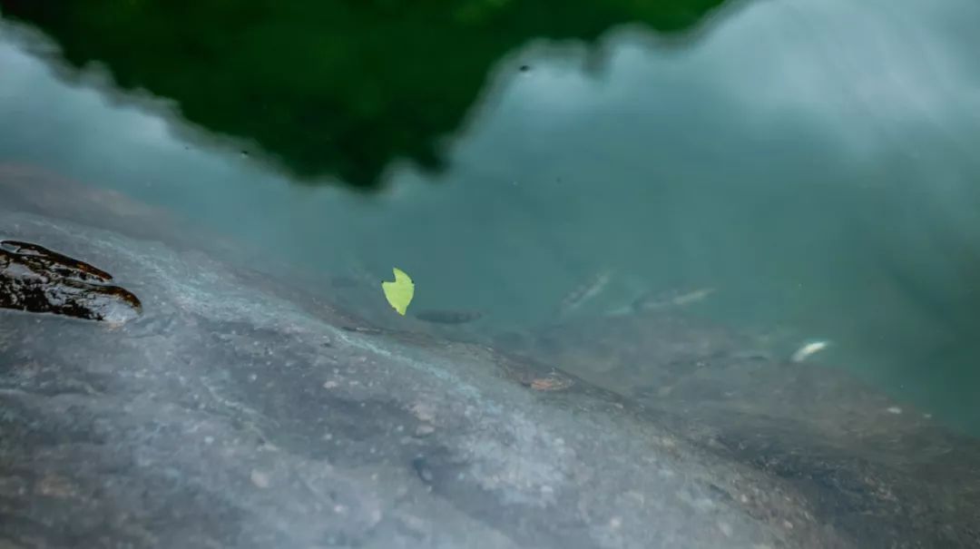金华小九寨风景区,小九寨原始森林半日游