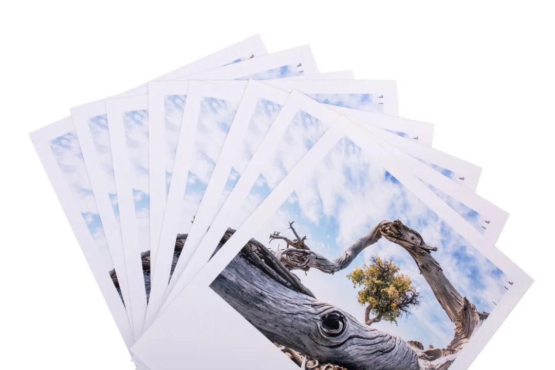 照片冲印用光面还是绒面的好,照片冲印的正确方法