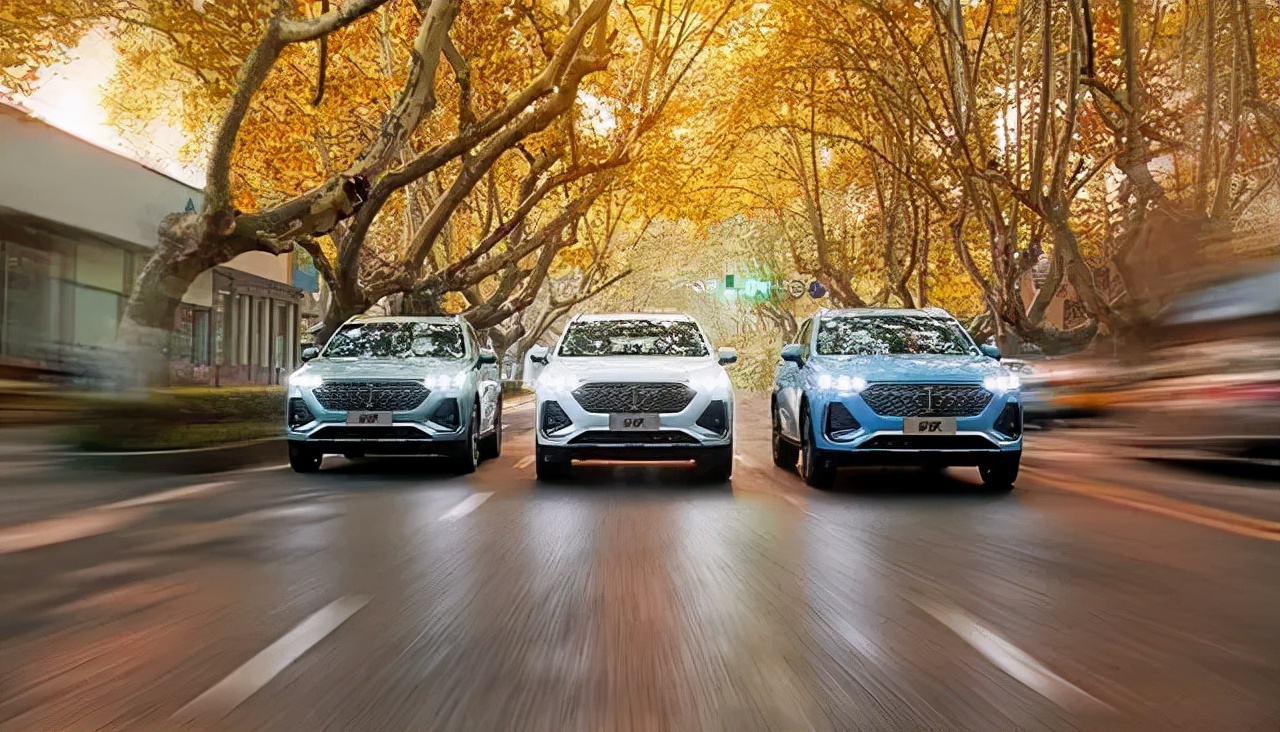 长城汽车股票可以涨到100吗,港股长城汽车股价趋势分析