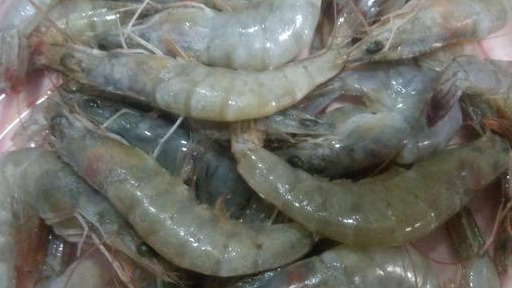 韭菜鸡蛋虾仁韭菜怎么不出水,韭菜虾仁肉鸡蛋馅出水了怎么办