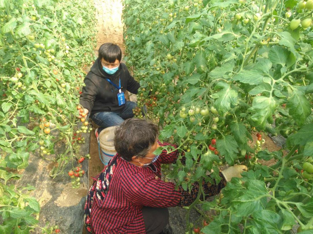 华西村最美时光,华阴岁月静好