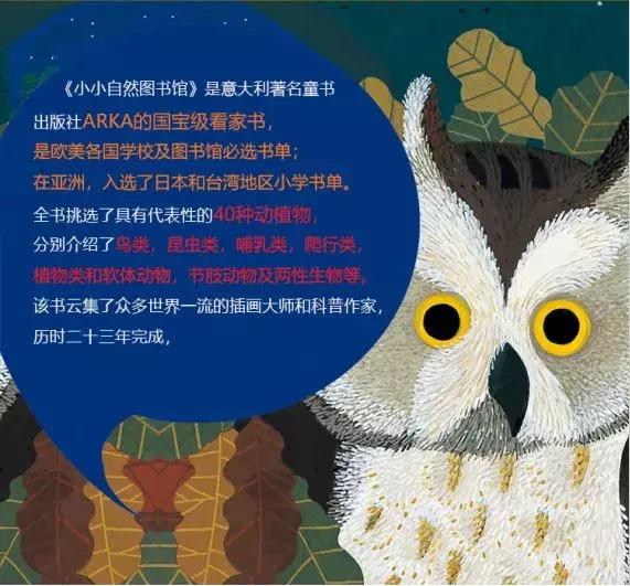 意大利畅销童书,意大利绘本世界十大著名童话