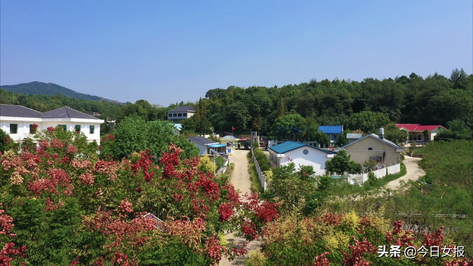 她曾带自闭症孩子两度自杀，如今与几名同病相怜家长联手在长沙对自家孩子做了这件事