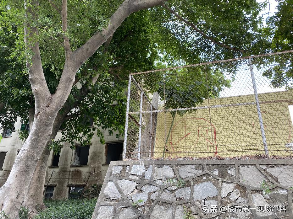 深圳布心水围村旧改70层住宅,布心水围村京基旧改