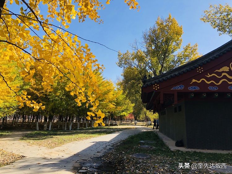 秋天的散文作文,秋天的诗歌随笔