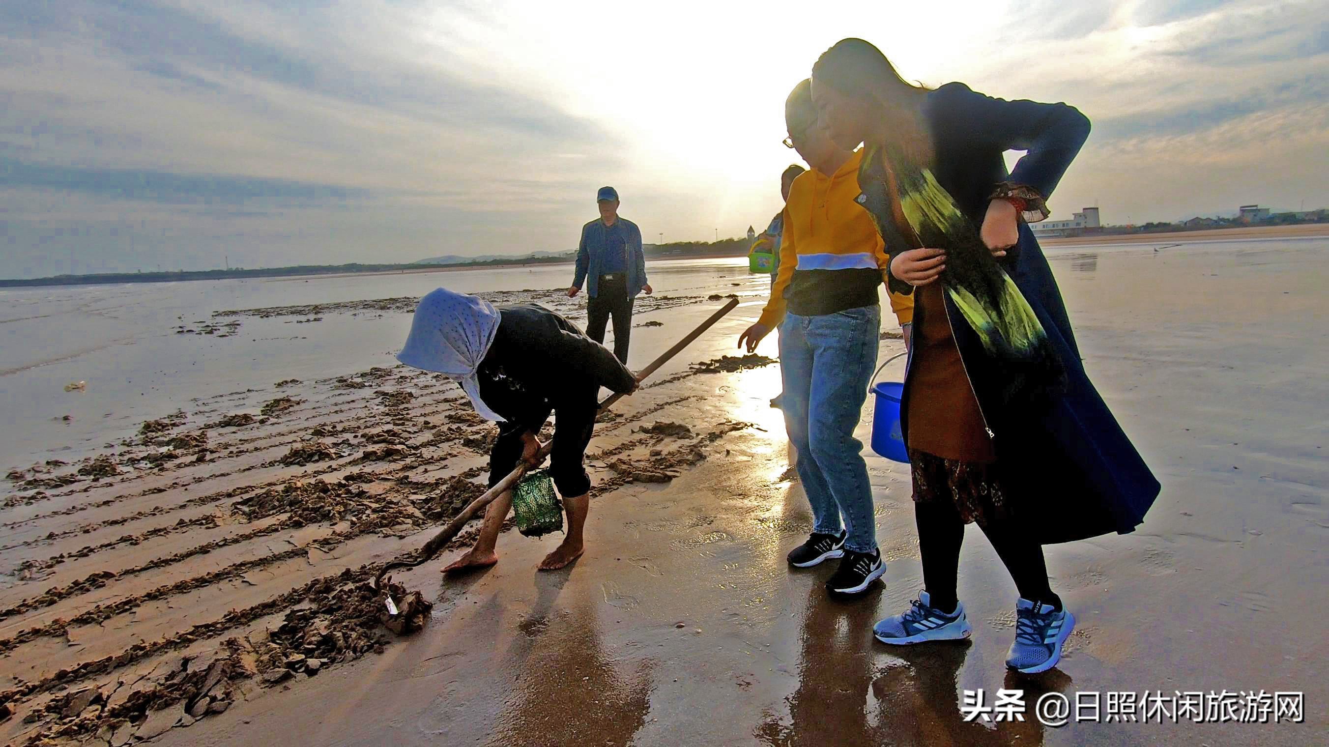 日照游玩手册,旅游导游必备手册
