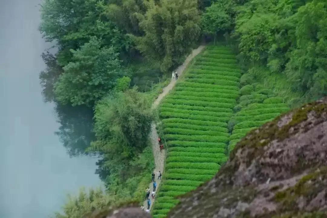 细品武夷岩茶十全肉宴,岩骨花香岩茶