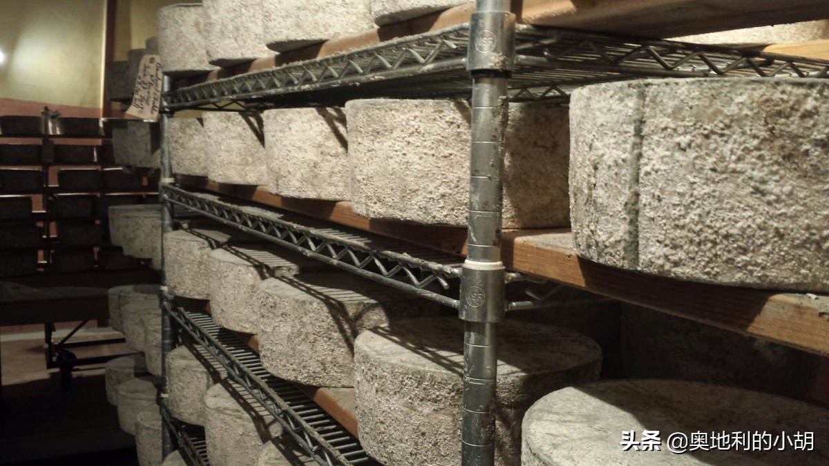 芝士好吃在哪,哪种芝士好吃又营养