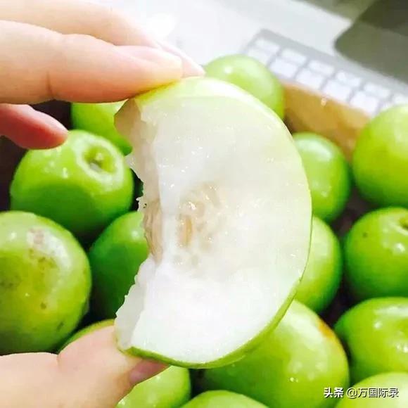 惊蛰种哪些水果,惊蛰会吃的水果叫什么名字