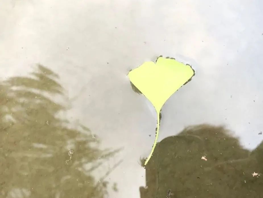 一个单身女人干临时工,40岁女性体制内临时工