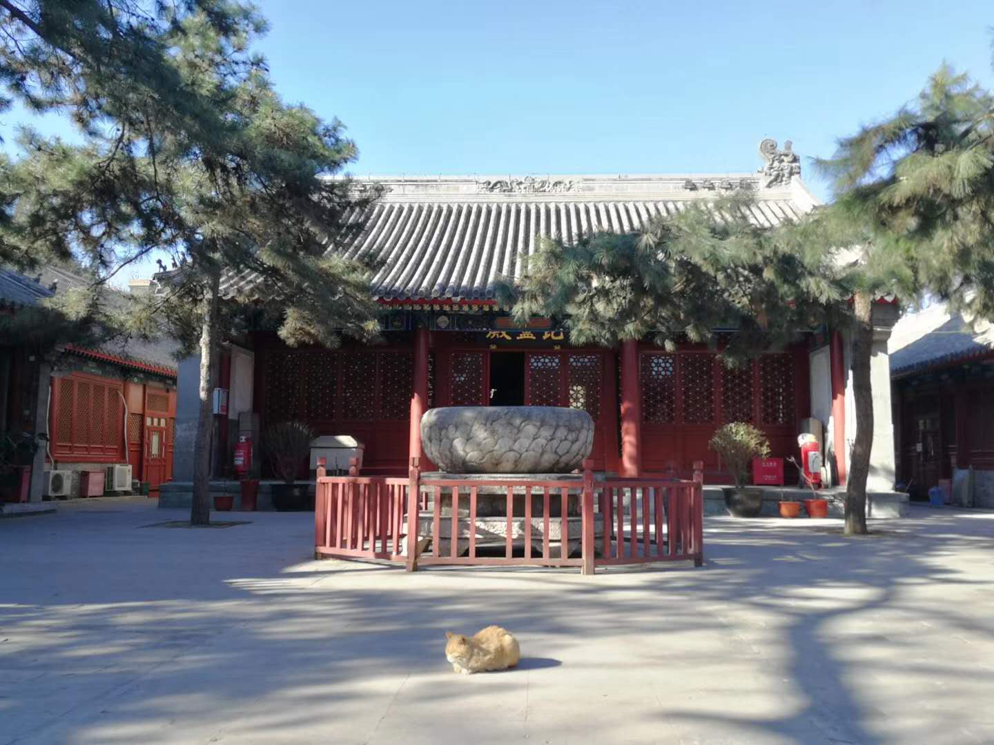 法源寺散文,散文丁香花邂逅法源寺