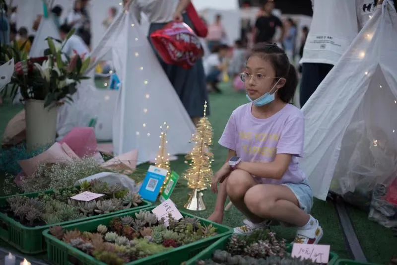 乘风破浪是什么级别的节目,乘风破浪第几季是天花板