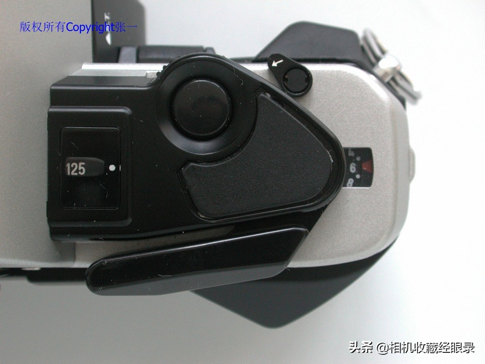 海鸥DF2000,海鸥df-300a仿的什么相机