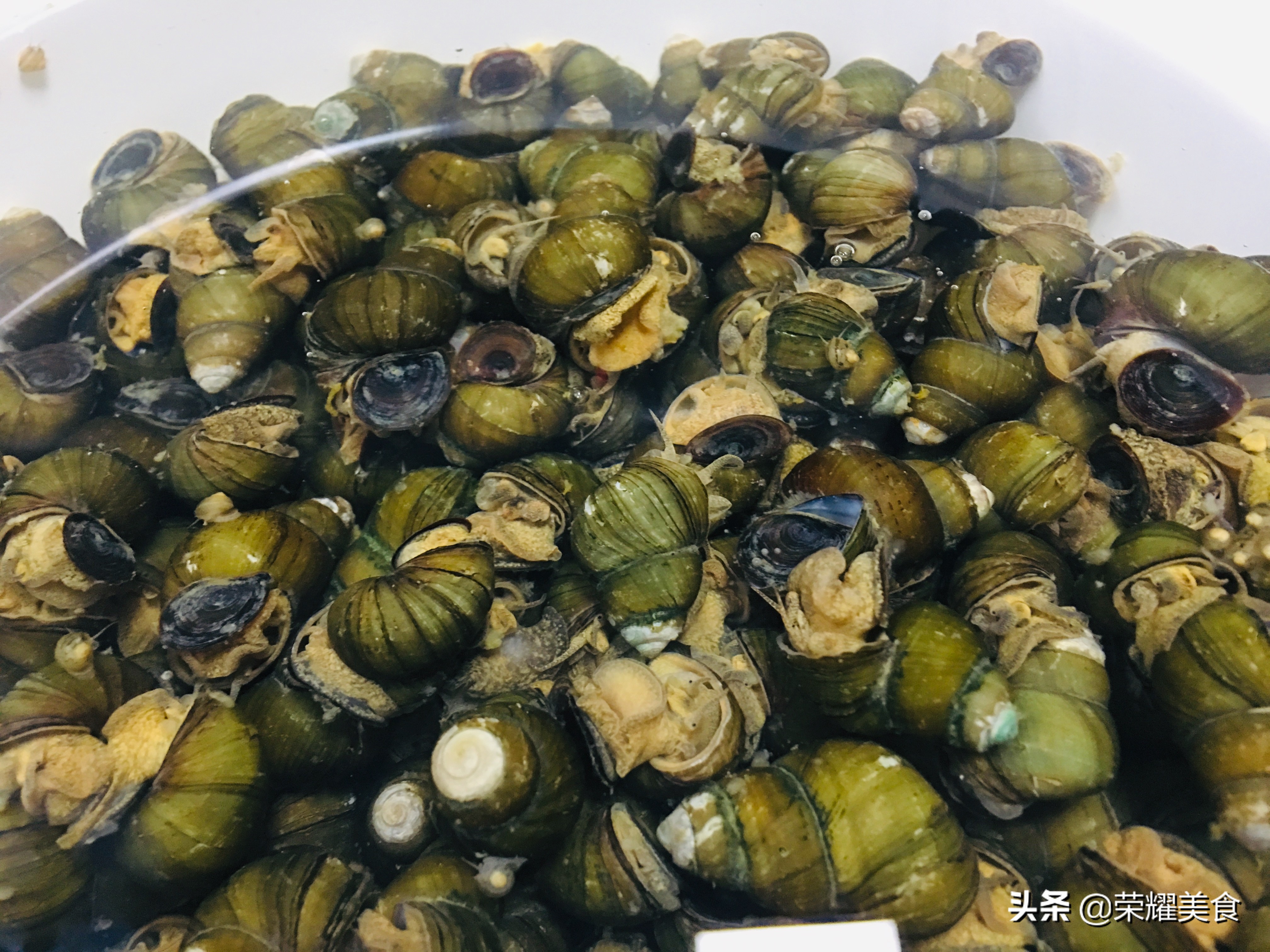 田螺炒完一股腥臭味还能吃吗,田螺腥味太大如何去除