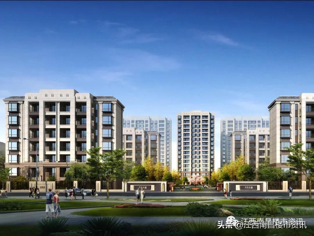 南昌九龙湖金茂悦属于哪个区,南昌九龙湖金茂悦真实入住感受