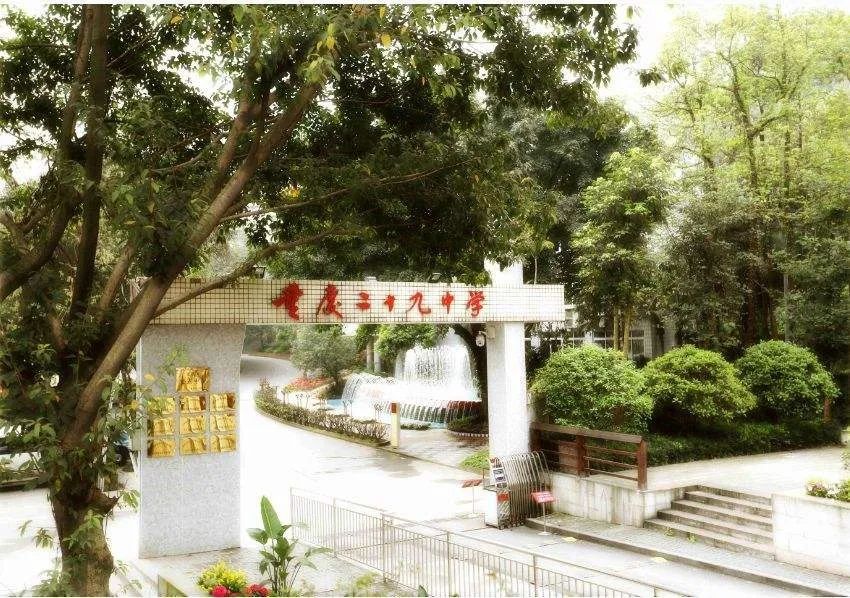 渝中区宝藏,重庆渝中宝藏