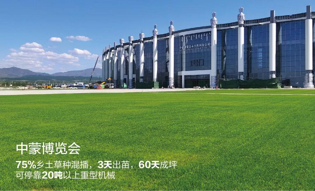 蒙草快乐小草亮相全国发明展览会,蒙草生态快乐小草产品