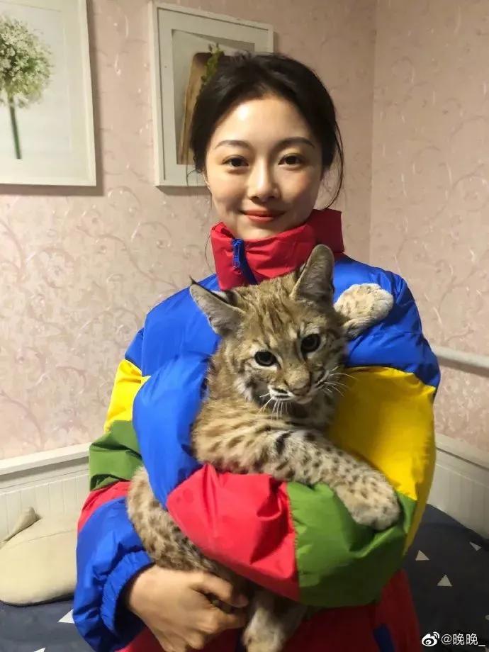 范冰冰算犯罪吗,范冰冰算不算劣迹艺人