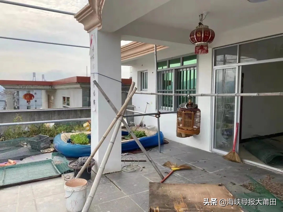 莆田画眉鸟事件,男子捕捉鸟类被逮捕