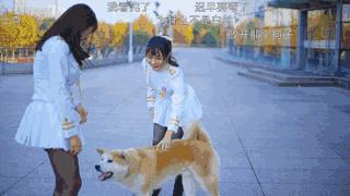 搞笑视频专治不开心,搞笑动图gif女司机