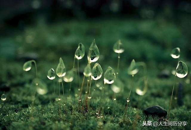 美睫完成发朋友圈吸引人的说说,女人正能量发圈吸引人的短句说说