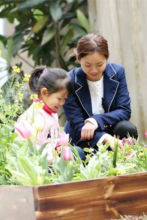 拥抱春天播种绿色植树节广播稿,拥抱春天播种绿色活动