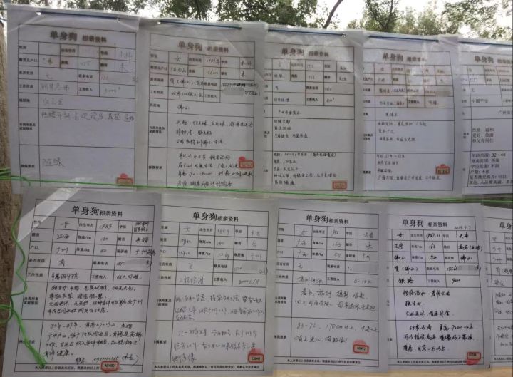 在相亲角逛了一圈,我们差点脱不开身