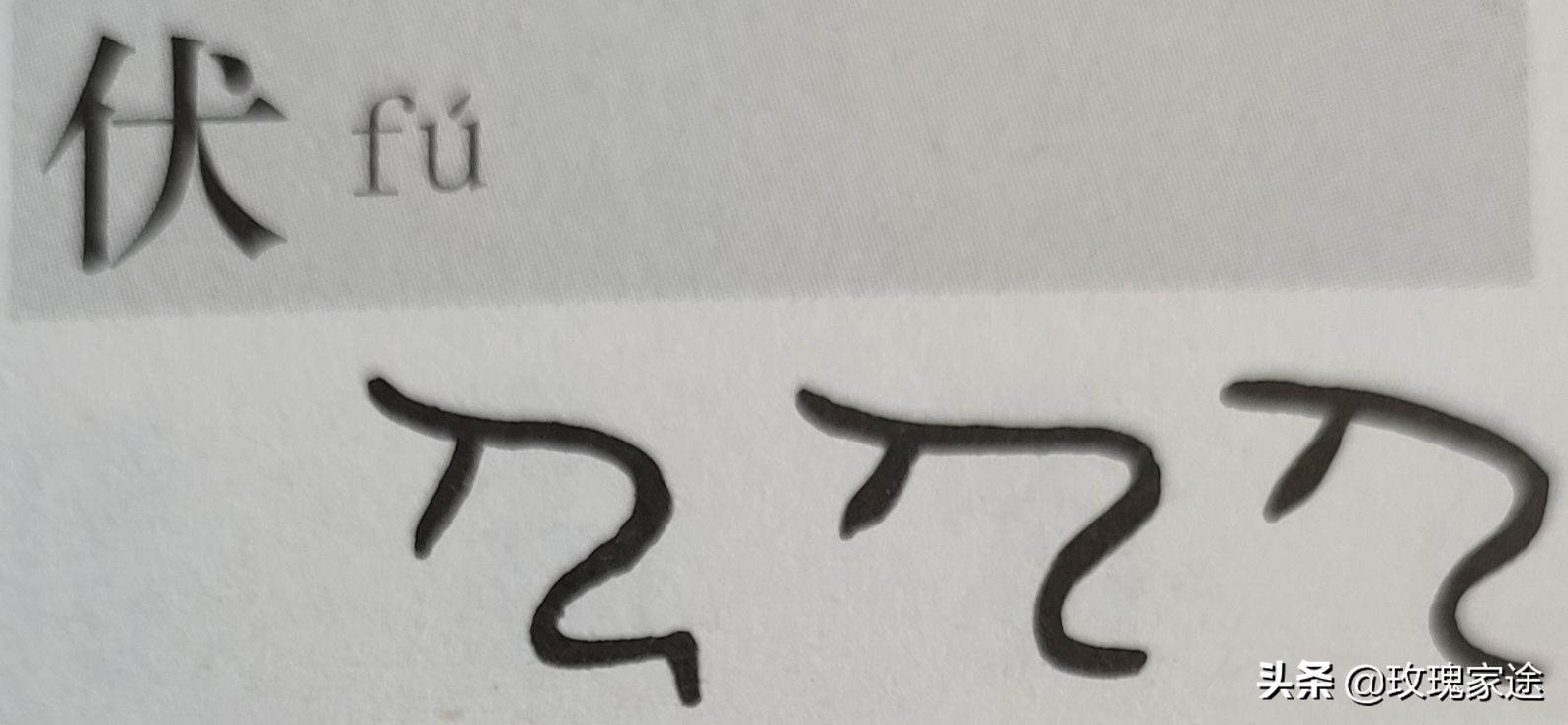 三伏天狗肉如何进补,三伏天吃狗肉有用吗