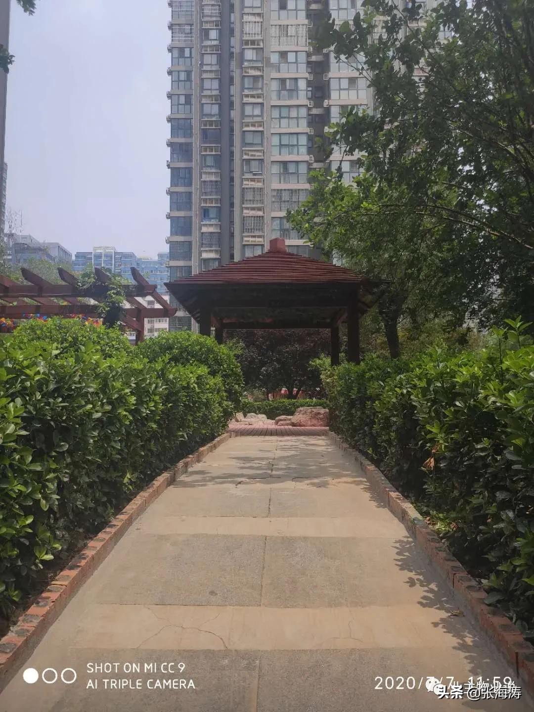 赞!旧貌换新颜,只因小区有了业主大会