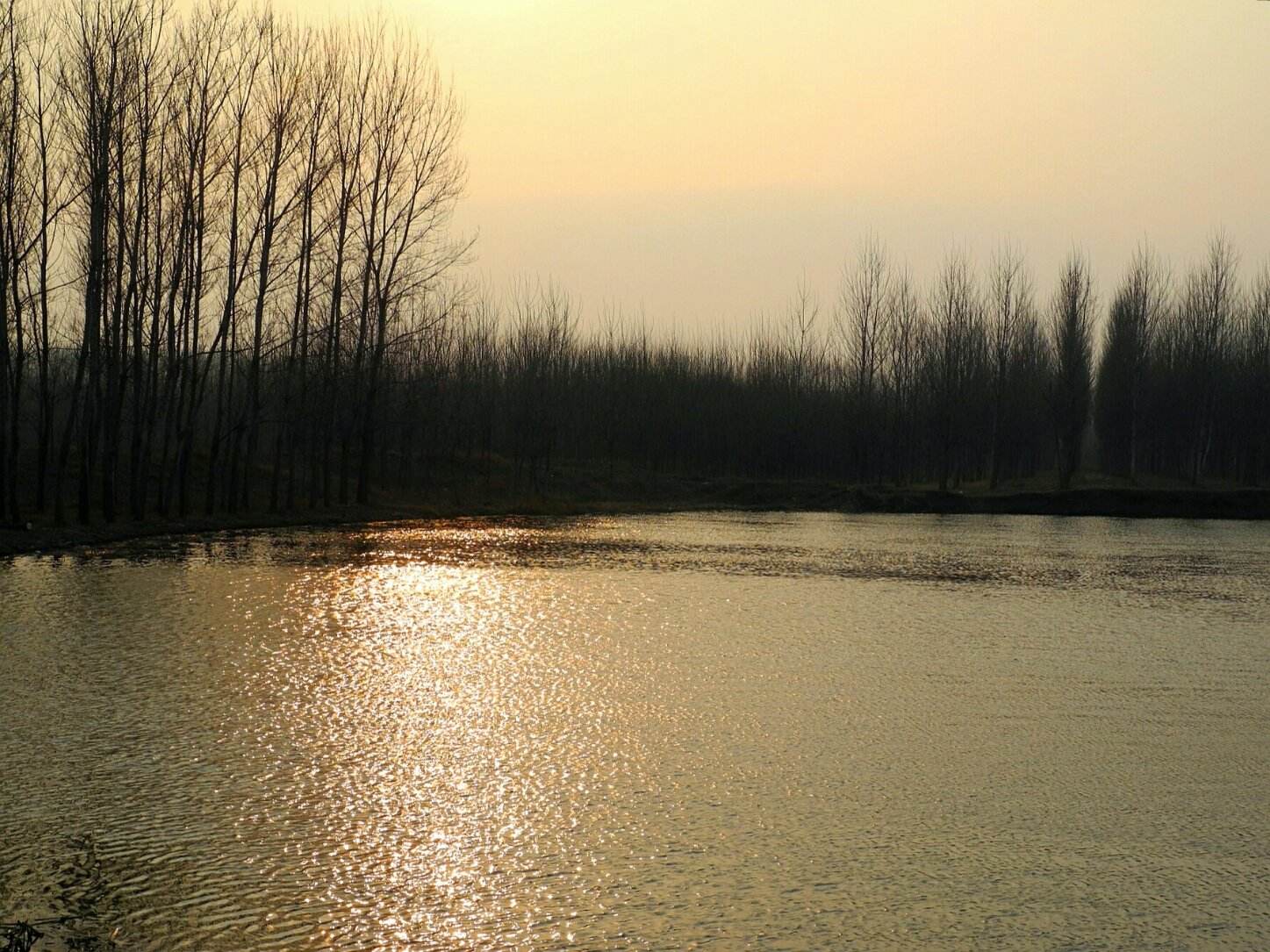 沈阳钓鱼野钓,沈阳野钓地址