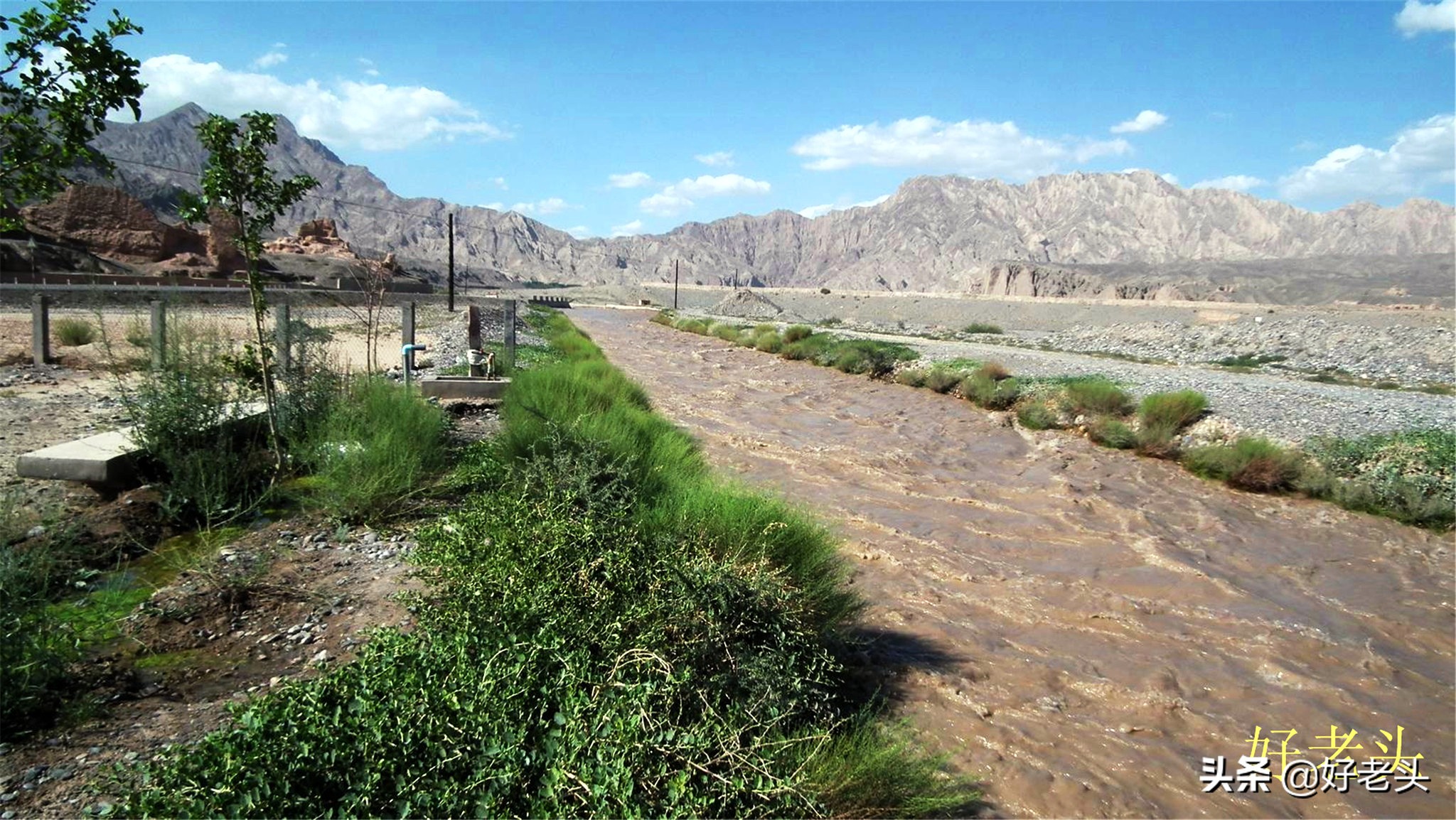 库尔勒轮台胡杨林风景区,胡杨林景区轮台