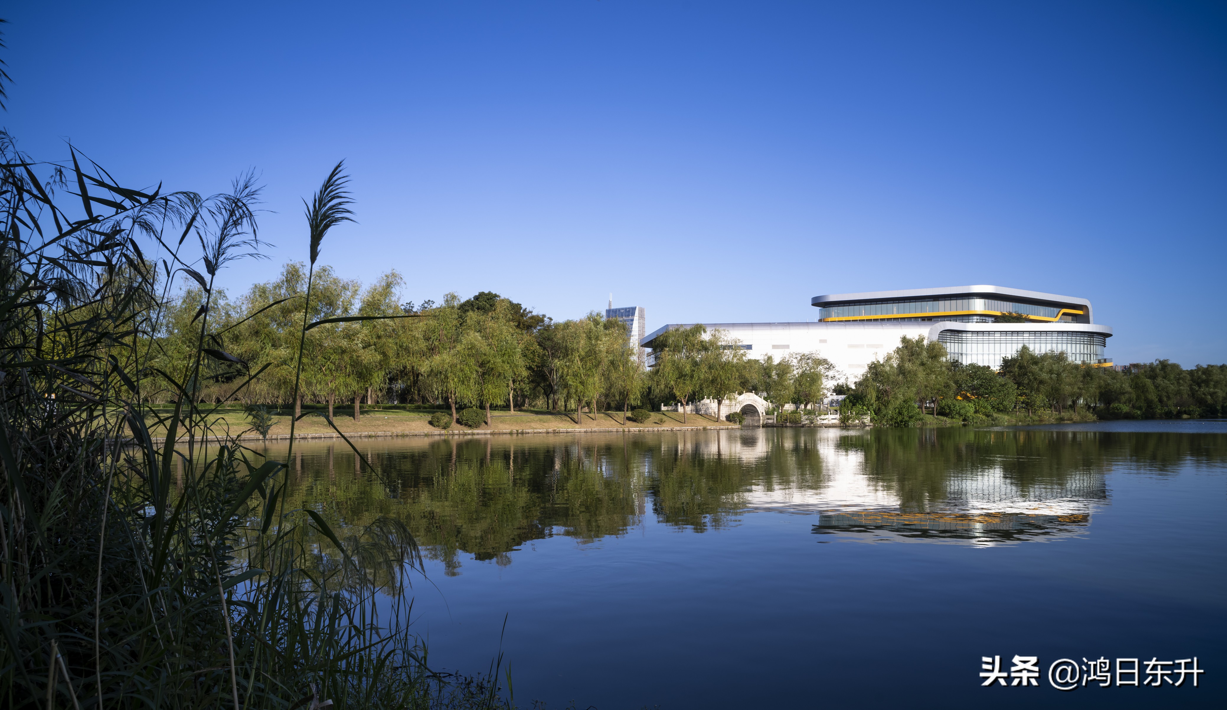 上海打拼的真实感受,在上海打拼是件很不容易的事