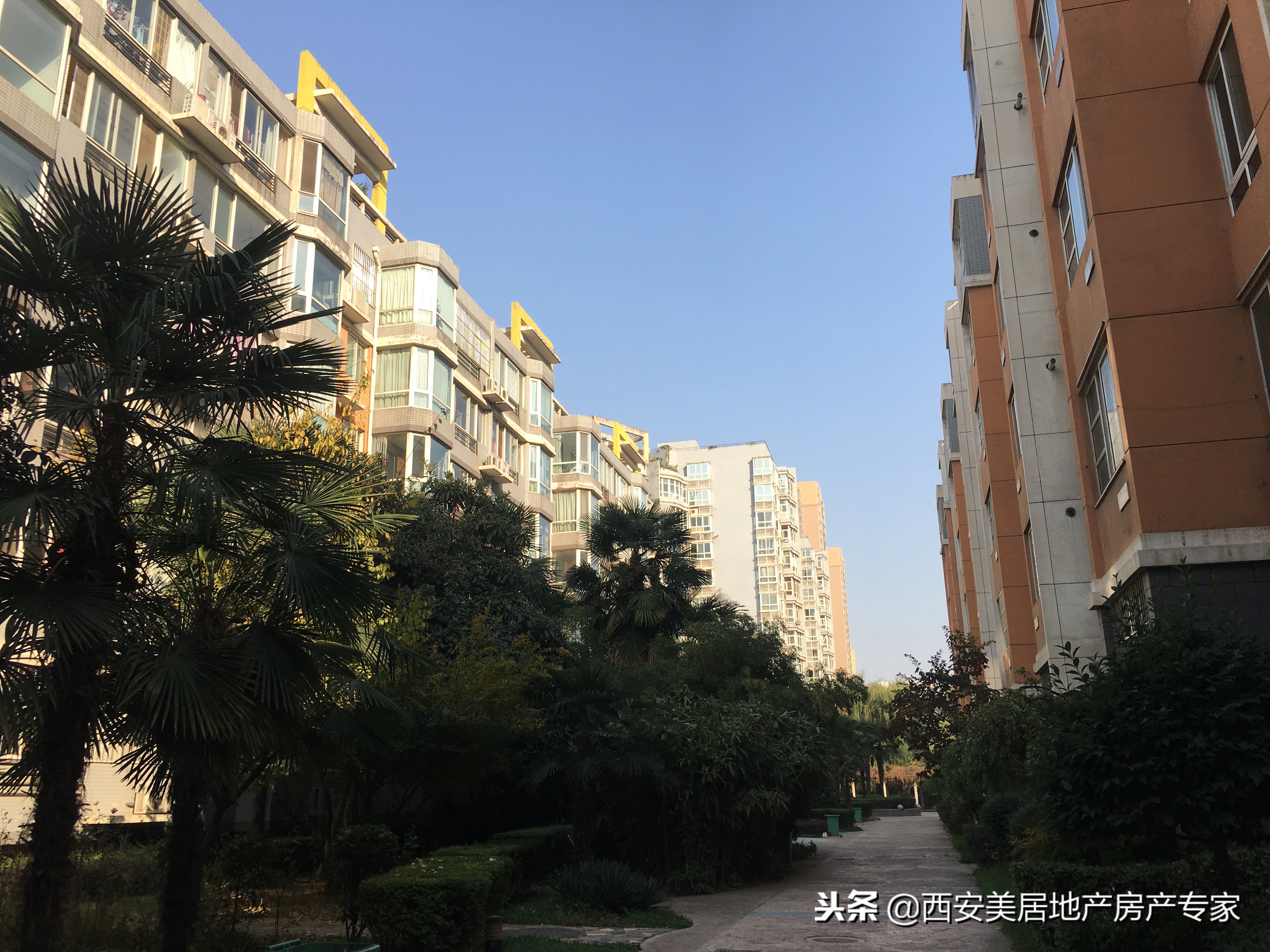 金桥四季花园,金桥花园小区怎么样