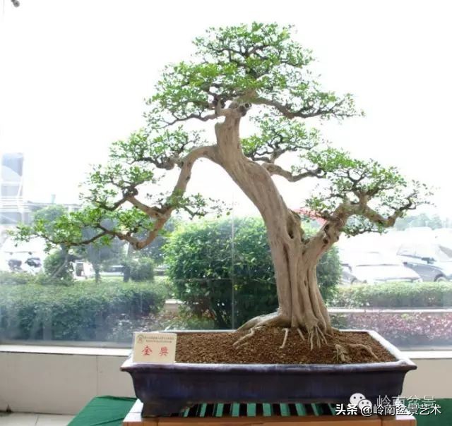 骞哥涔呬箙鐢滅敎铚滆湝,骞哥涔呬箙