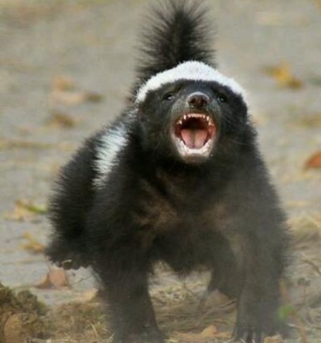 随笔贝加尔湖畔,贝加尔湖旅游随笔